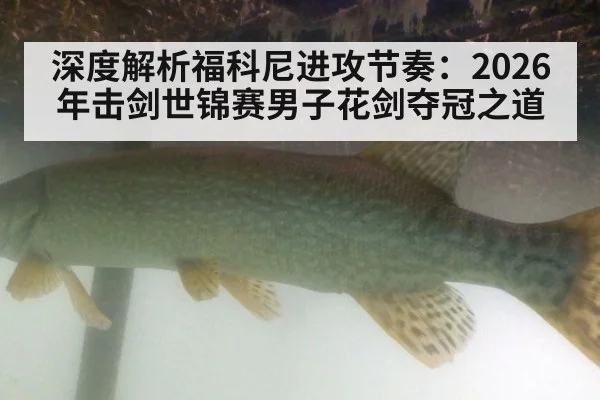 深度解析福科尼进攻节奏:2026年击剑世锦赛男子花剑夺冠之道
