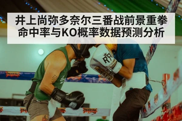 井上尚弥多奈尔三番战前景重拳命中率与KO概率数据预测分析